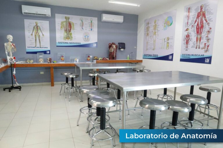 Laboratorio de Anatomía_